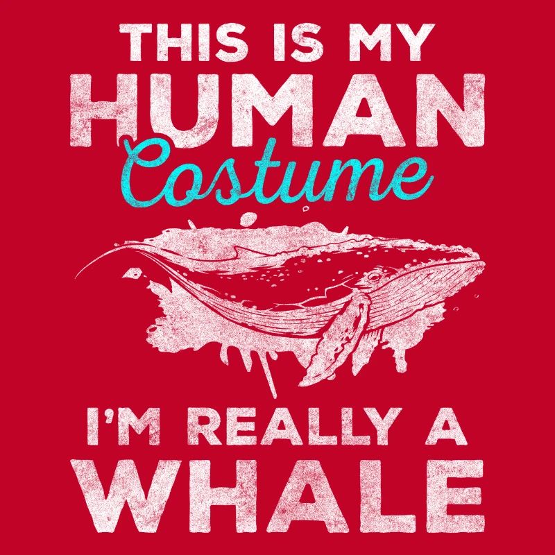 Baleines Créatures Marines Lac