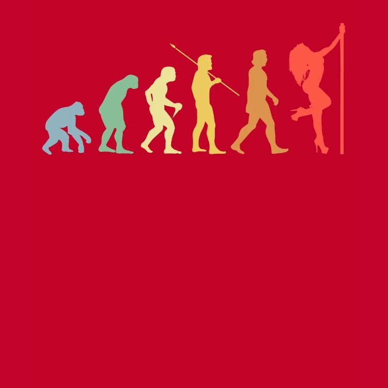 Pole Dance Evolution Rétro Pole Dancer