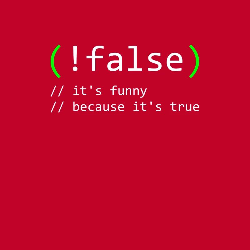 Programmer Humor false true funny Nerd Geek