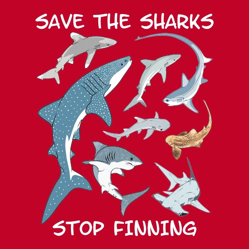 Types de requins Espèces de requins