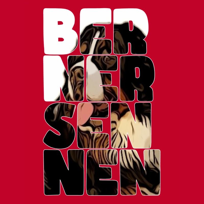 Bouvier bernois
