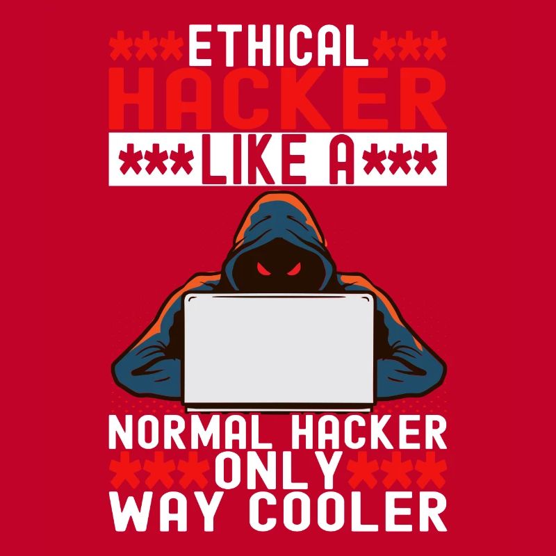 Programmer Cyber Security