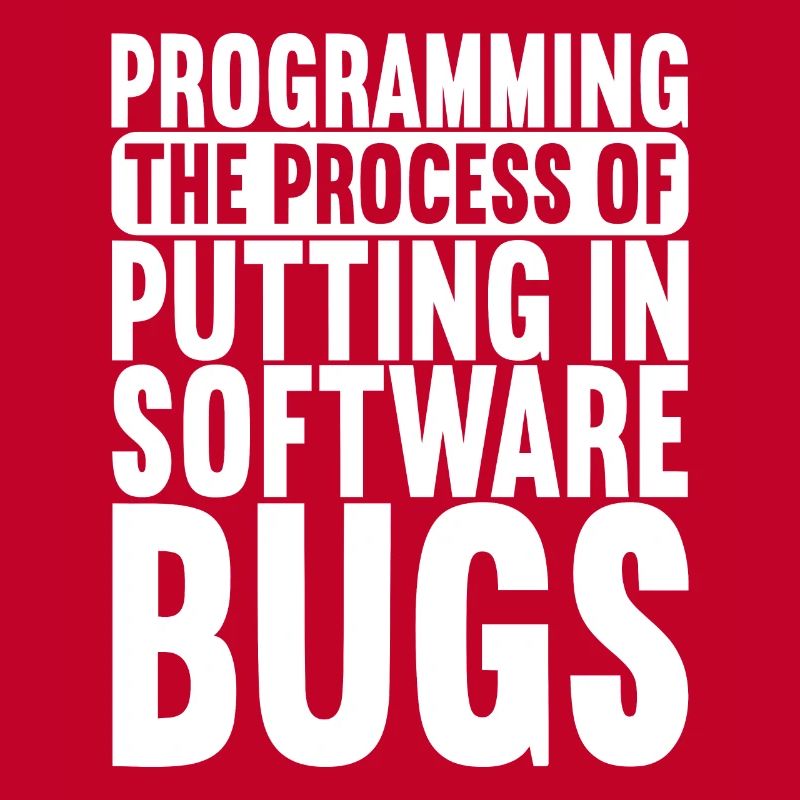 Programmeur Informaticien