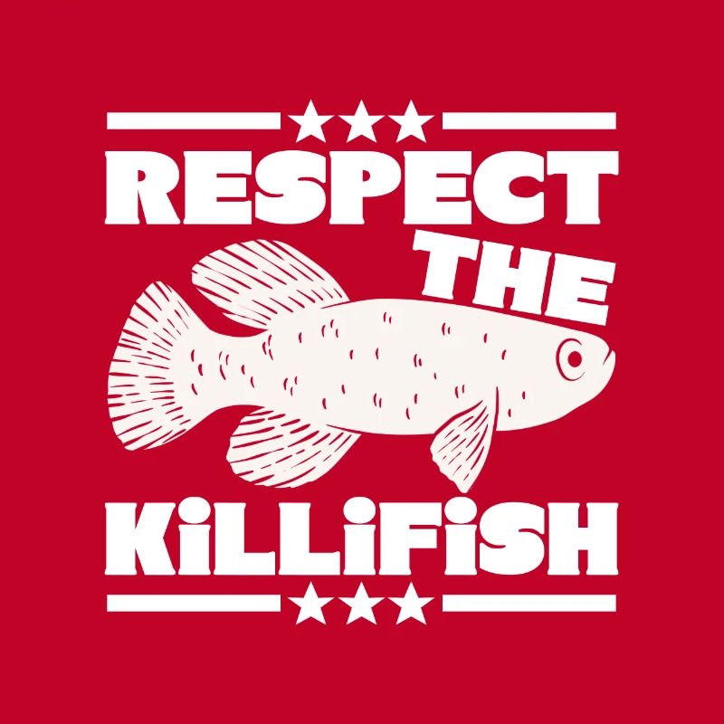 Killifish Quarium Fish