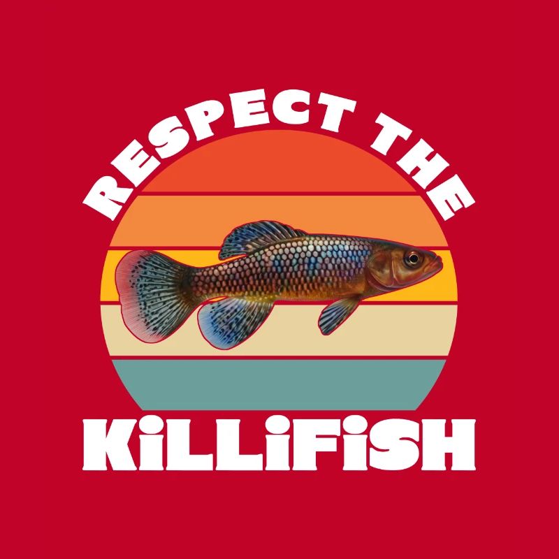 Killifish Quarium Fish