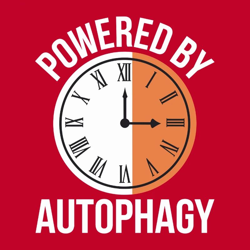 Intermittent fasting Intermittent fasting