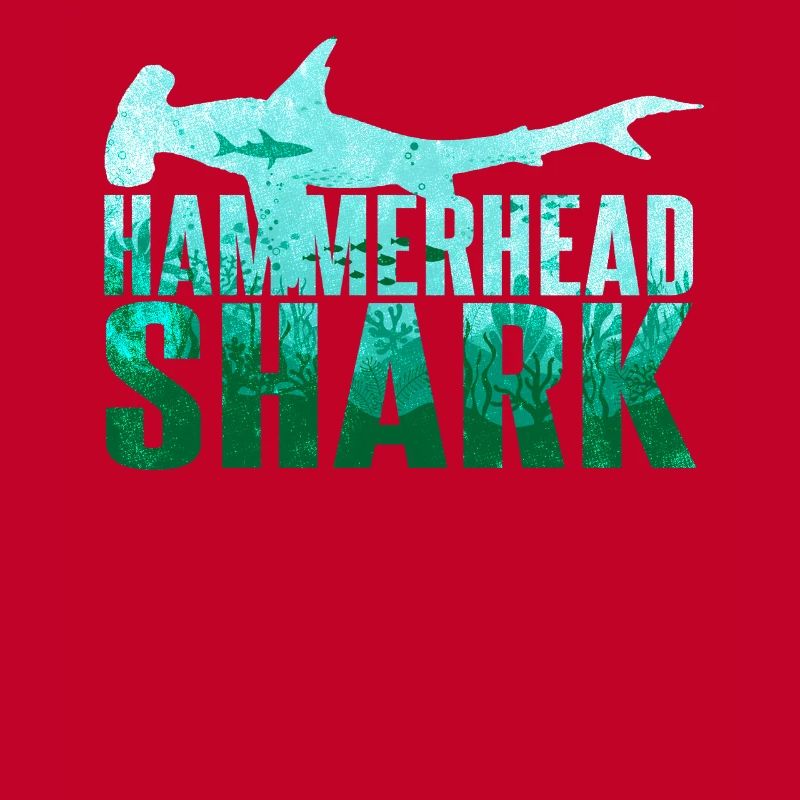 Requin-marteau Requin Requin Requin