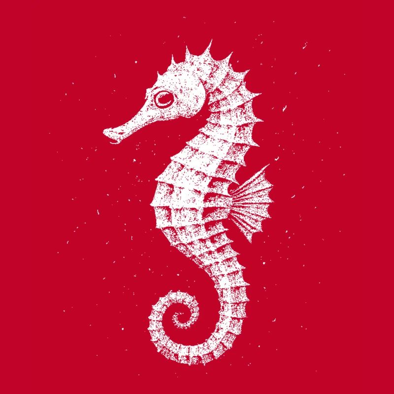 Hippocampe