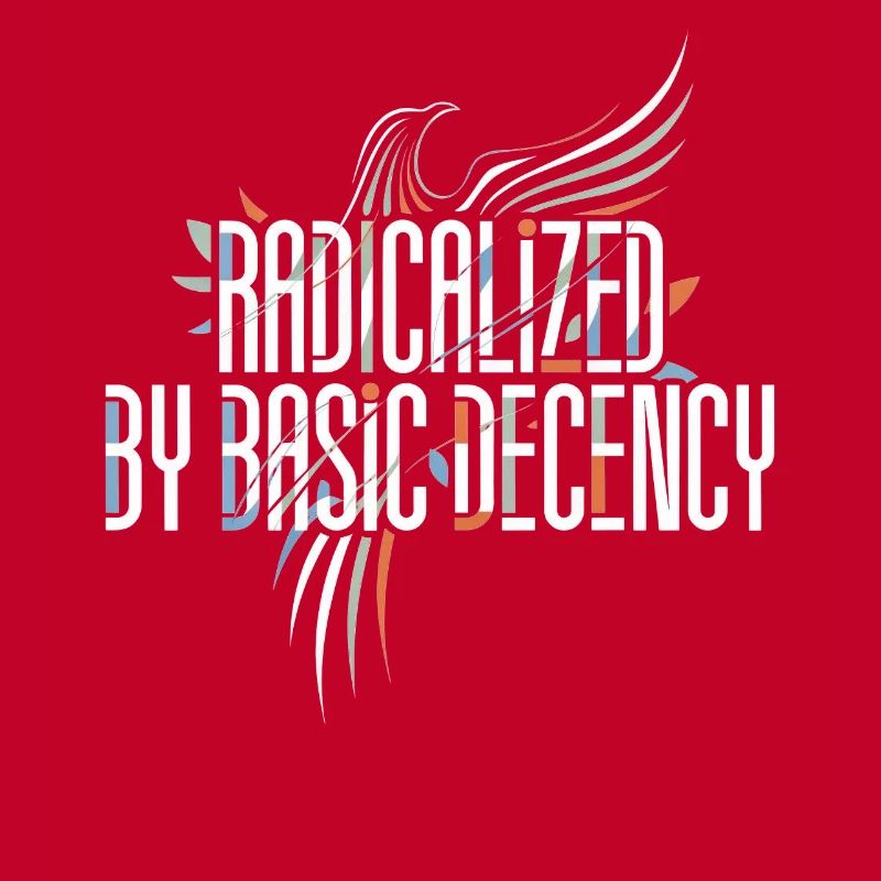 Radicalized by Basic Decency Shirt for Activists