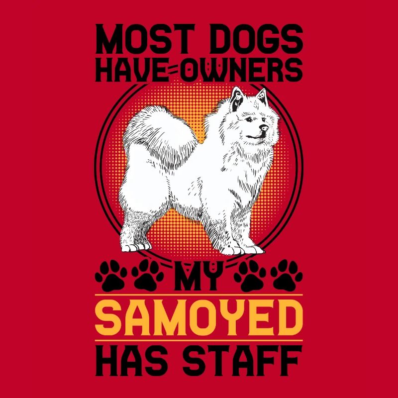 Samoyed has staff Samoyed Spitz