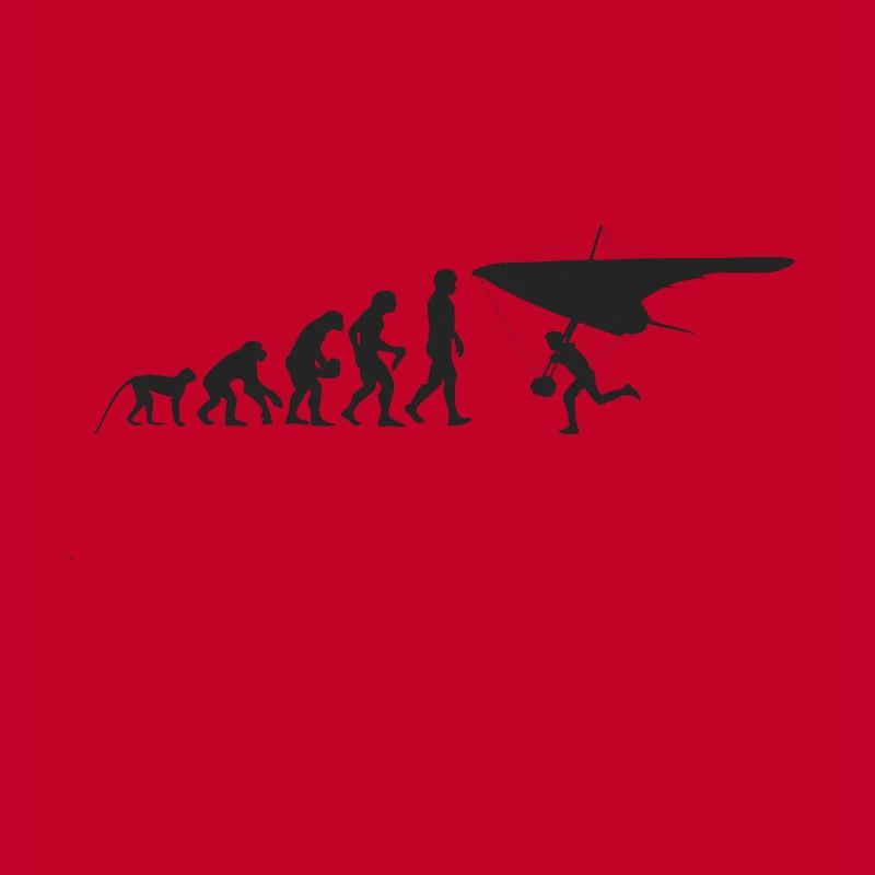 Gleiter Evolution