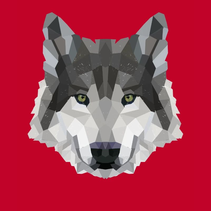 POLYGONE LOUPS LOUPS HUSKY PACK PACK CHIEN PACK PACK