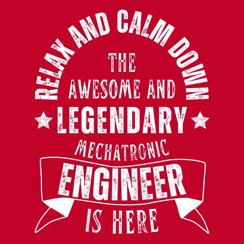 Legendary mechatronics engineer is a profession here