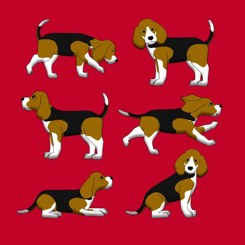 Beagle selection