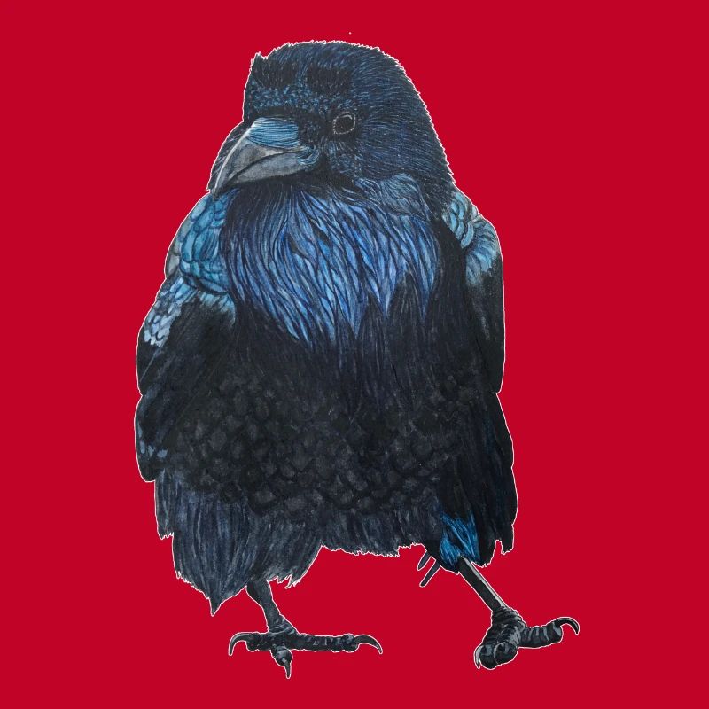 Raven Crow Walking