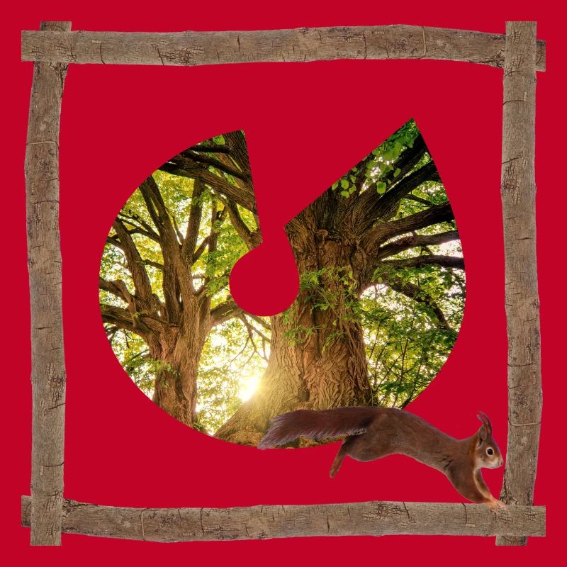 wald mit eichhörnchen u