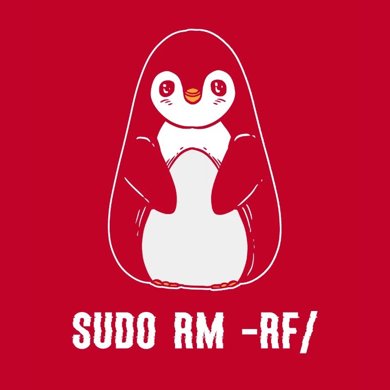 sudo rm rf / Linux Computer Programmer