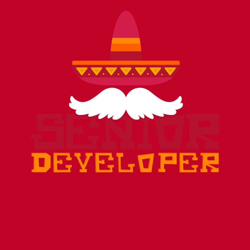 Senior Developer Programming Programmer
