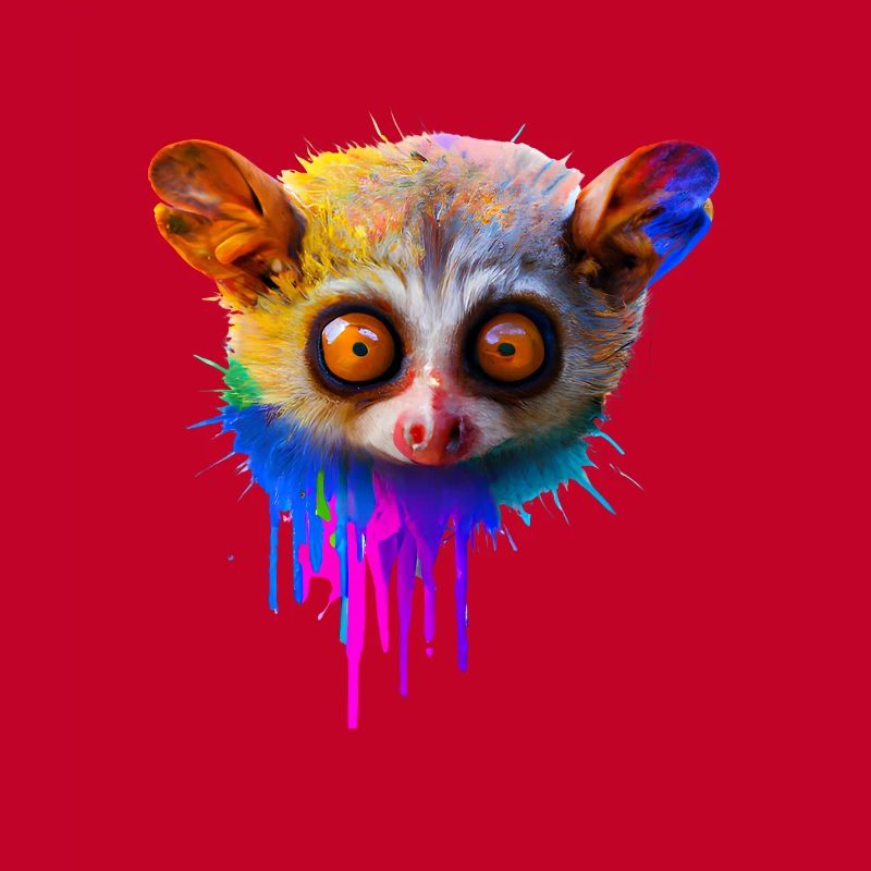 Conception Tarsier