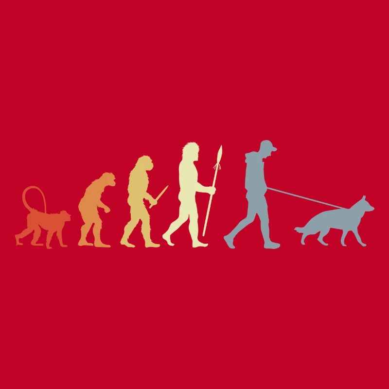 Berger allemand propriétaire Evolution