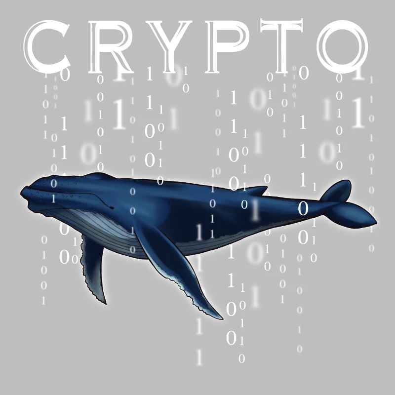 Crypto Wal Krypto Geschenk Idee