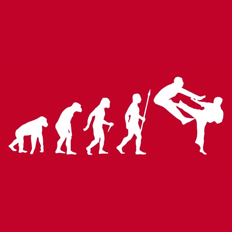 FUNNY KARATE EVOLUTION