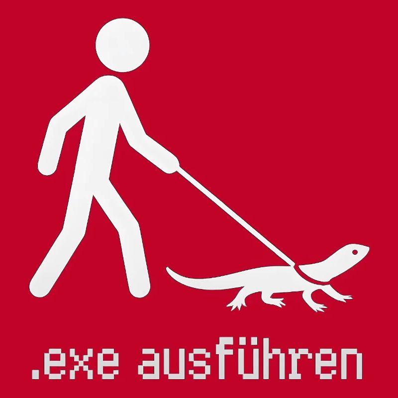 EXE ausführen Admin Informatiker Programmierer