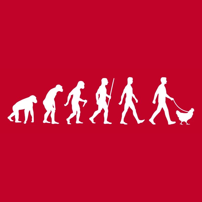 Hühnerzüchter Evolution Hühnerzucht Entwicklung