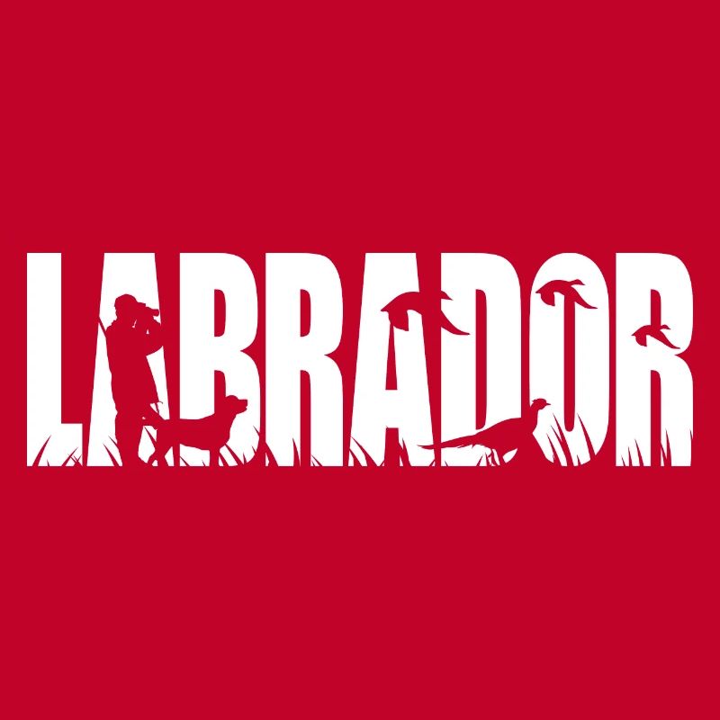 LABRADOR Jagdhund Jagdhunde Labbi Wilsigns