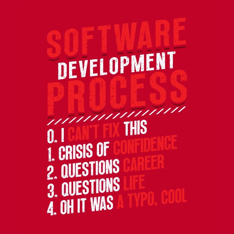 Software development process, programming
