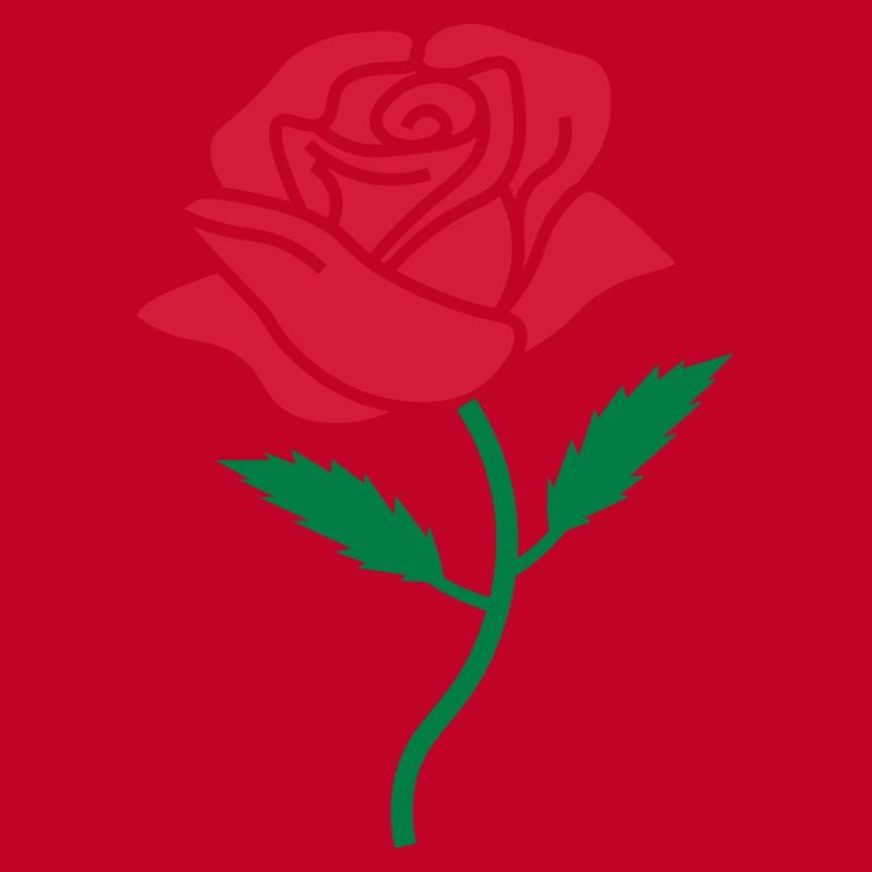 couleur rose