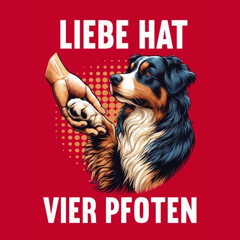 Liebe hat Vier Pfoten Australian Shepherd Aussie
