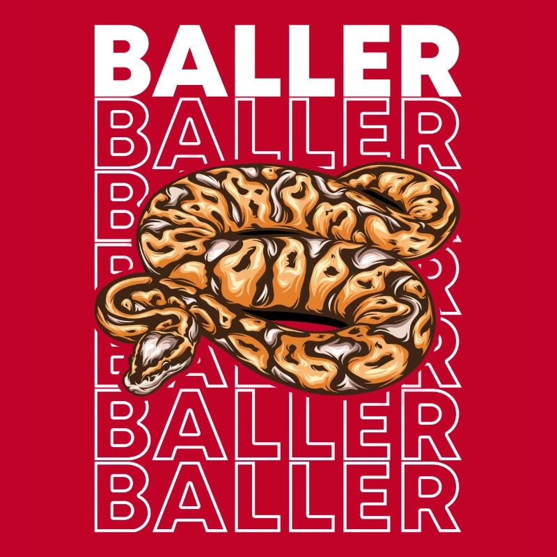 Ball Python 80's Style Baller Royal Python Snake
