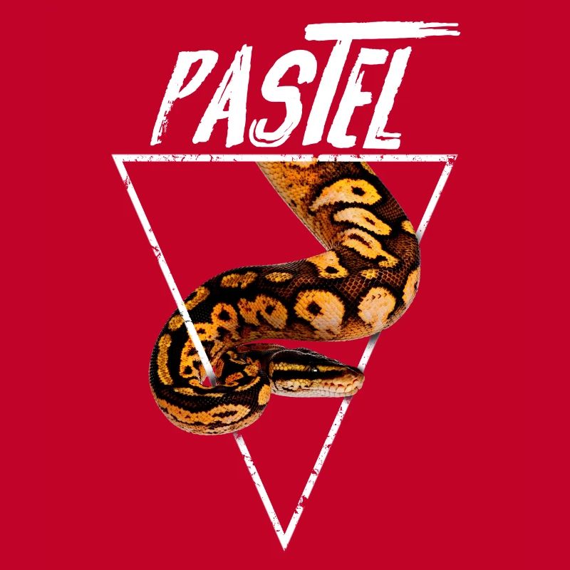 Pastel Ball Python Owner