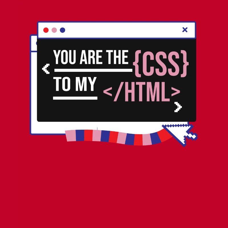 Software Developer Engineer