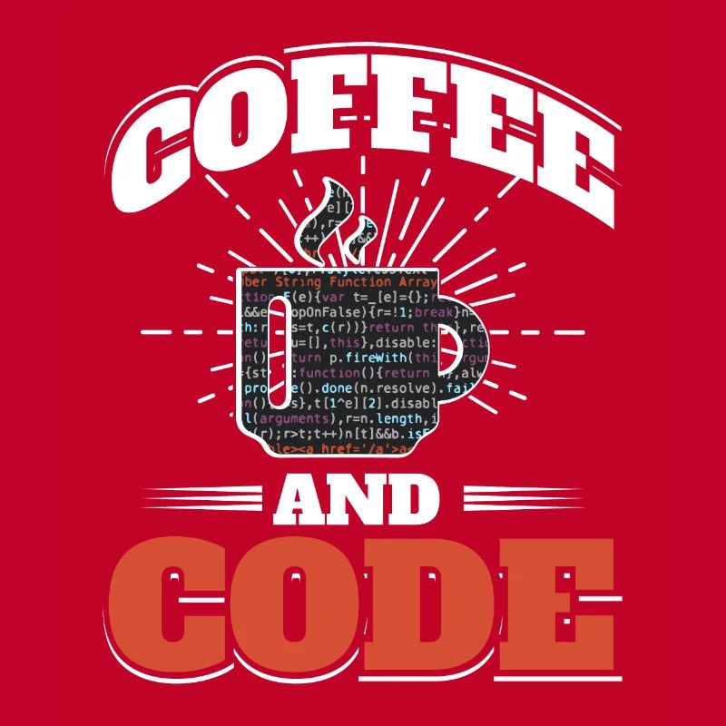 Software Computer Developer