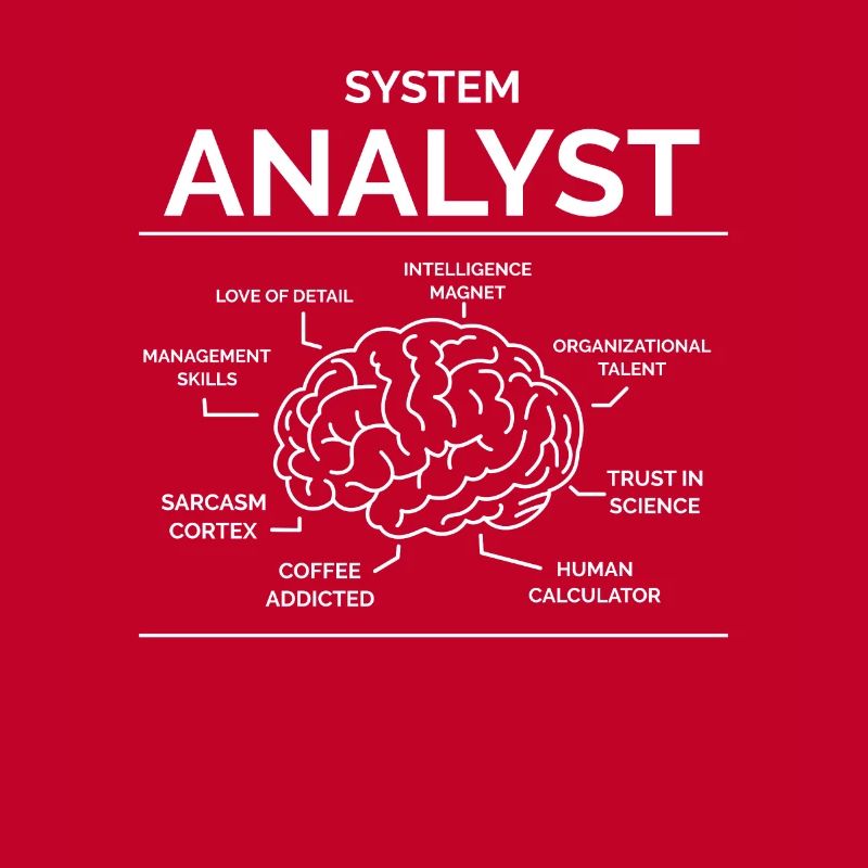 Systems analyst