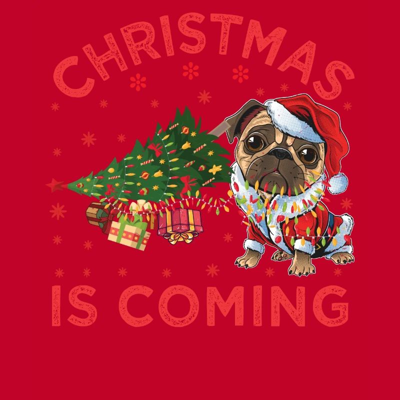 Noël arrive version chien