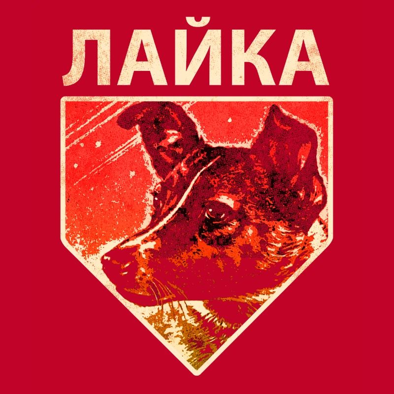Laika - Chien de l’espace soviétique
