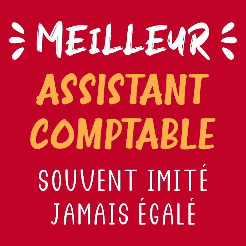 Meilleur assistant comptable