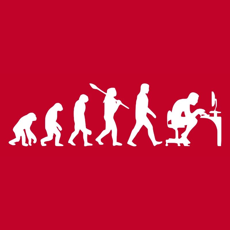 Programmeur - Evolution - PC - Informaticien