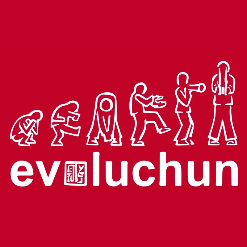 évolution des formes aile chun