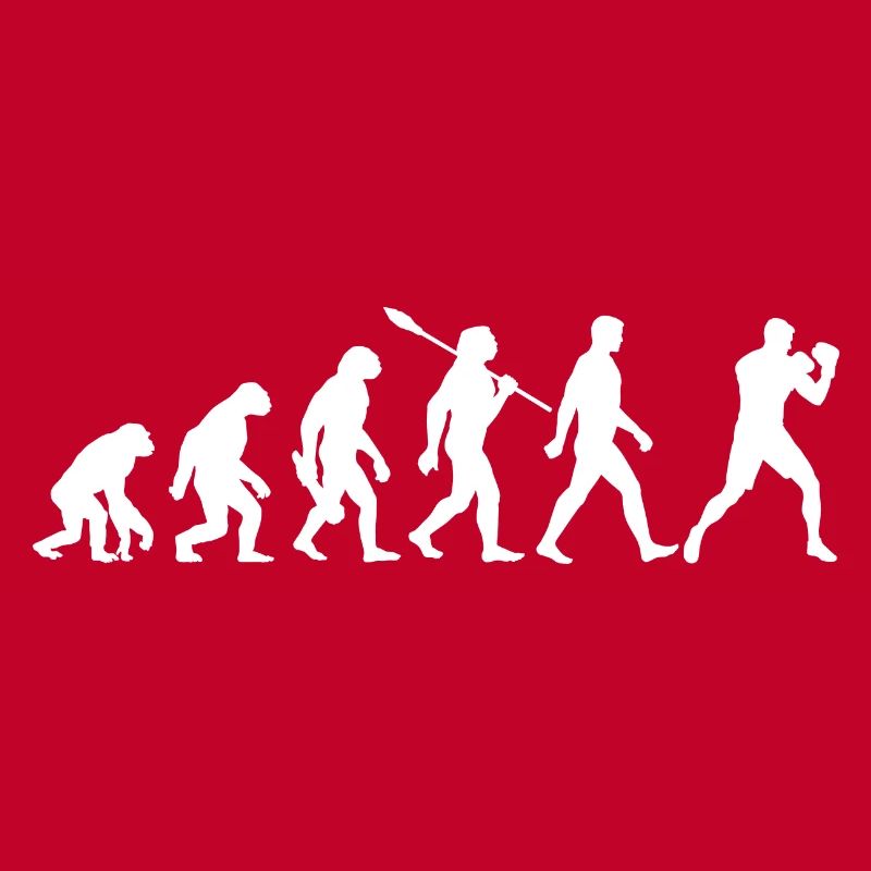 Evolution - Boxen, Kampfsport, Boxtraining