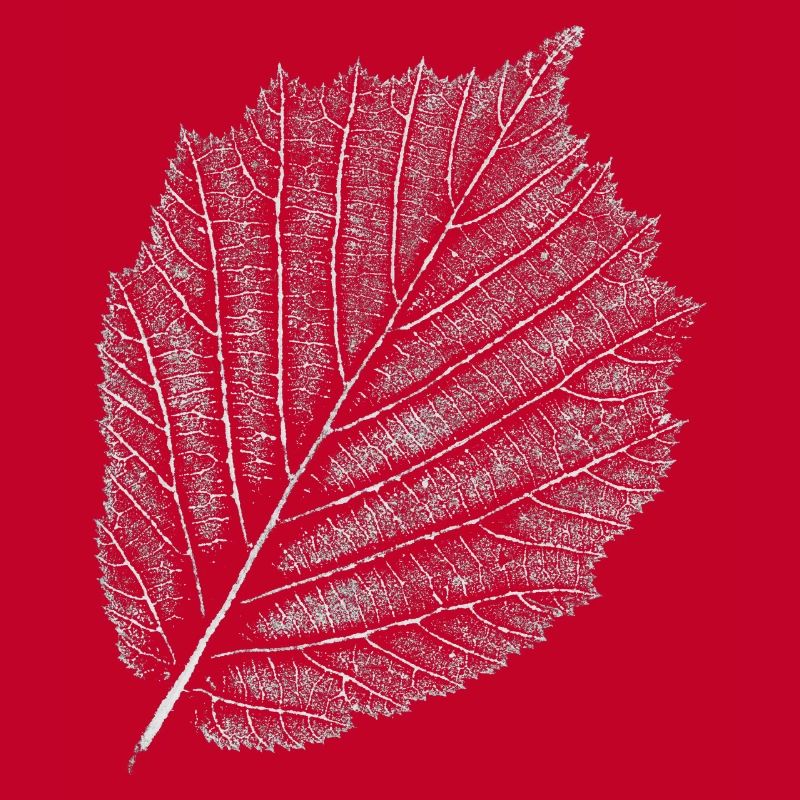 Leaf / Hazel / Hazelnut