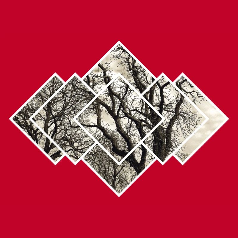 Tree Pattern