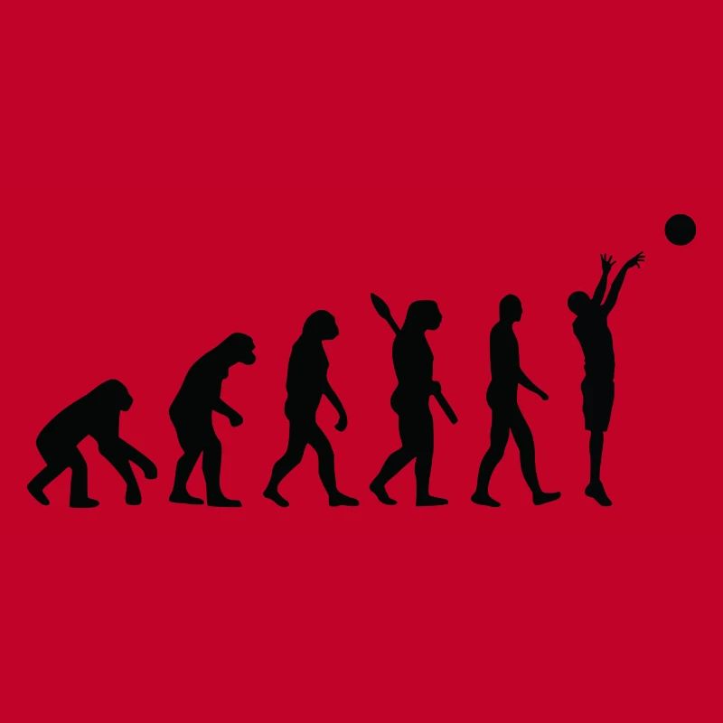 Evolution basket b
