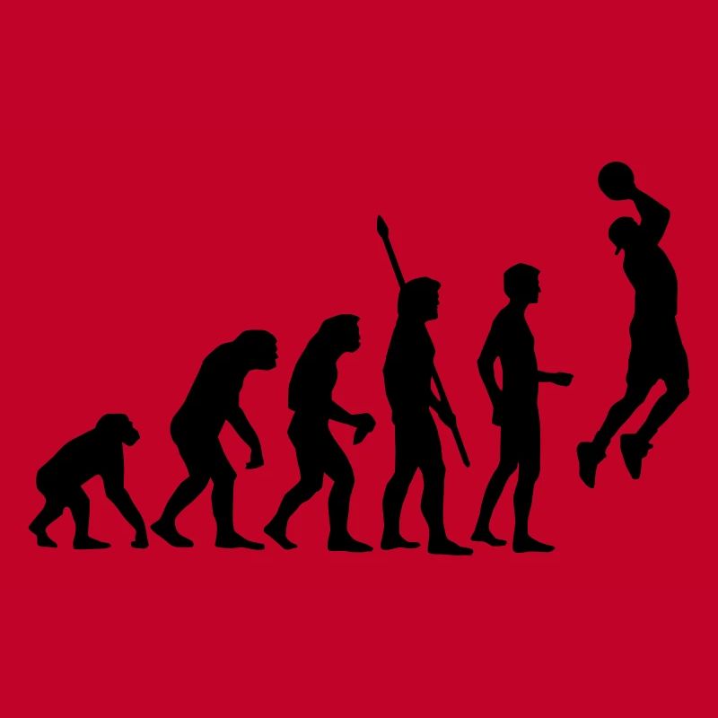 evolution_basketball_b_1c