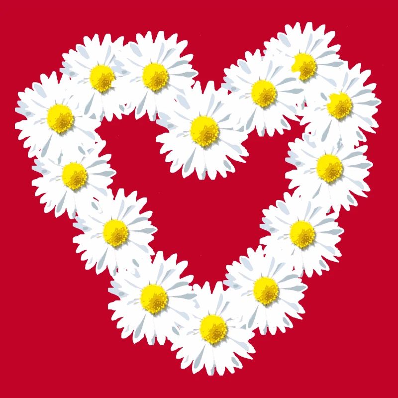 Herz Gänseblume Gänseblümchen Herzlich
