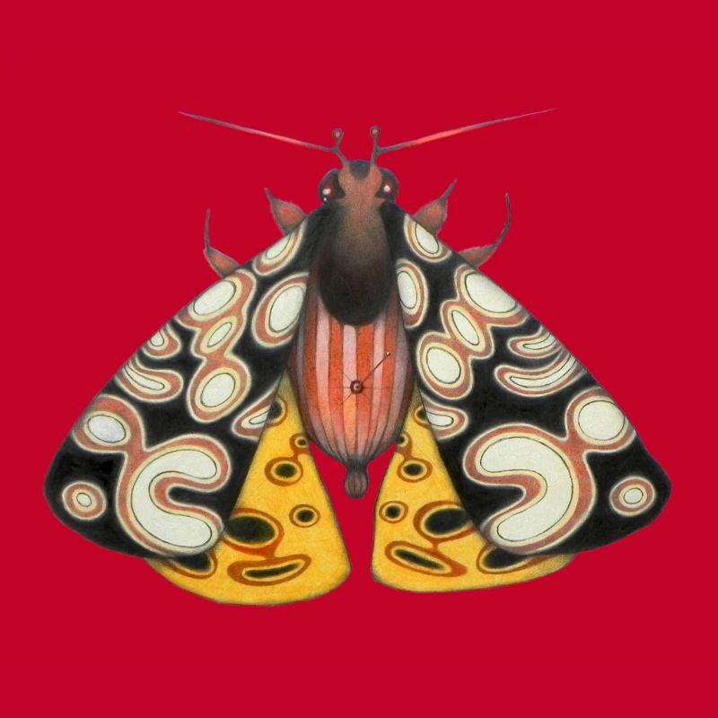 Moth noir et jaune