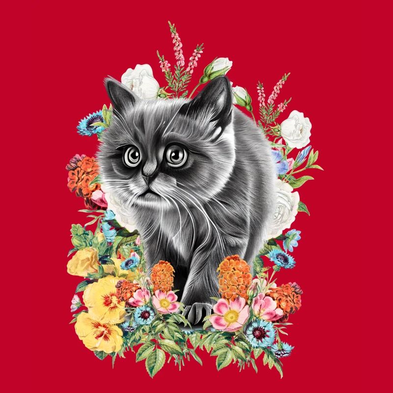 Fleurs de chat